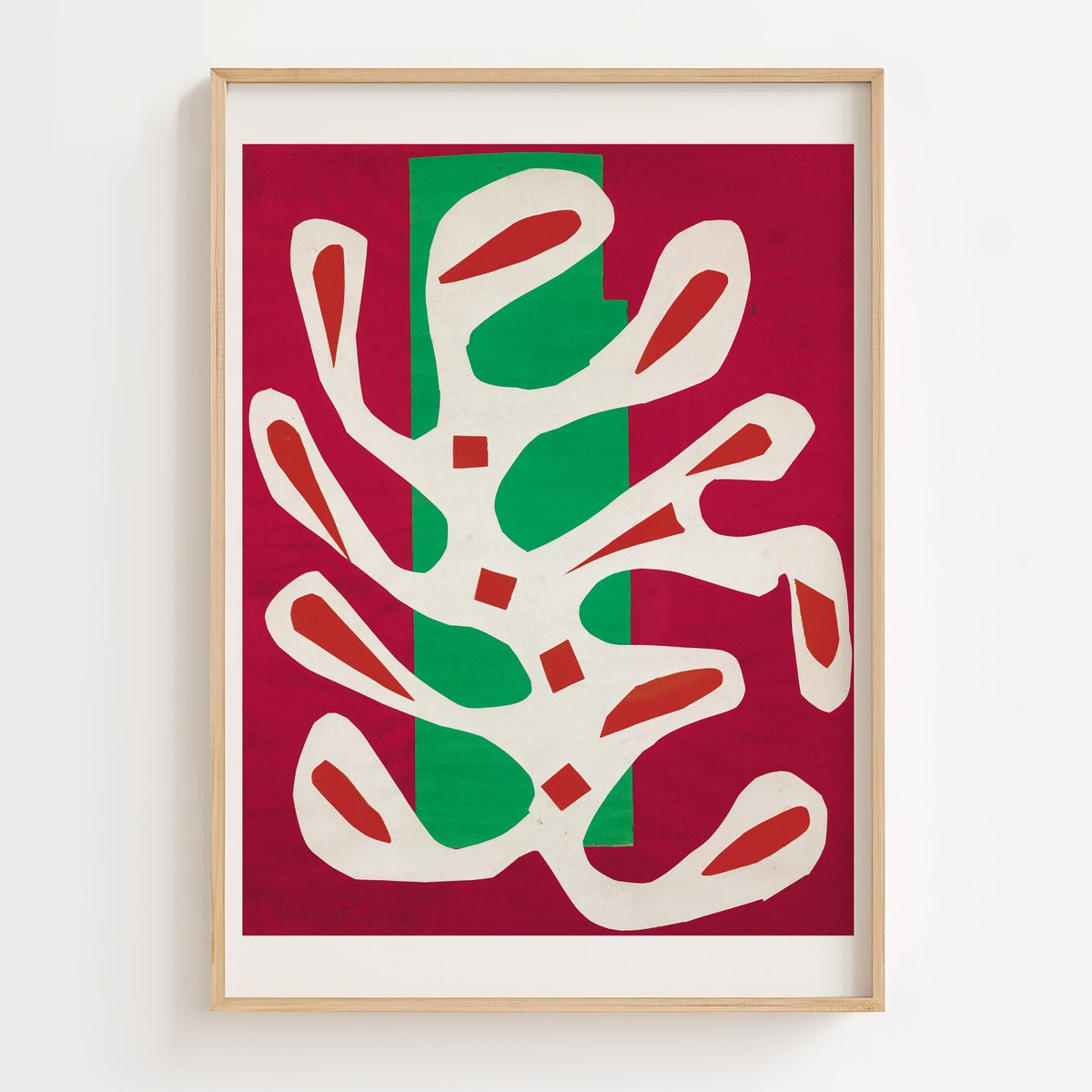 Algue blanche sur fond rouge et vert (White Algae on a Red and Green Background)