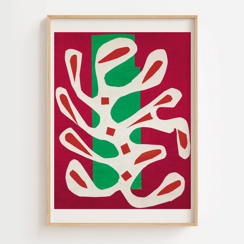 Algue blanche sur fond rouge et vert (White Algae on a Red and Green Background)